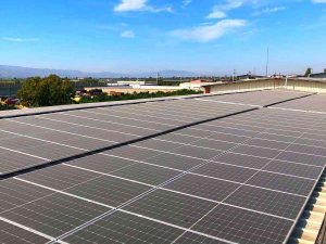 Uğur Entegre Gıda’dan Ges Yatırımı