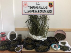 Jandarmadan Uyuşturucu Satıcılarına Darbe Üstüne Darbe