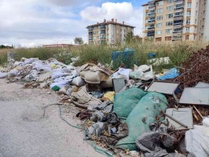 Hayrete Düşüren Sorumsuzluk