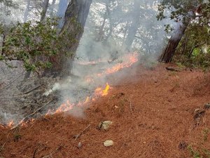 Amanos Dağları’na Düşen Yıldırım Orman Yangınına Neden Oldu