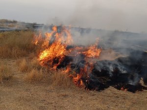 Adır Adası’ndaki Yangın Bugün Tekrar Başladı