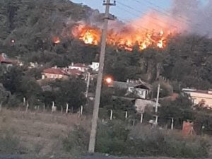 Ula’da Orman Yangını Çıktı