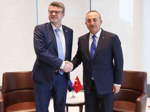 Dışişleri Bakanı Çavuşoğlu, Estonya Dışişleri Bakanı Reinsalu İle Görüştü