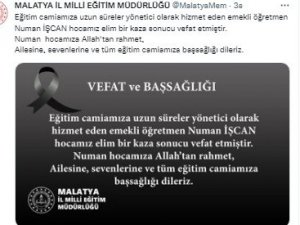 Ağaçtan Düşen Emekli Müdür Hayatını Kaybetti