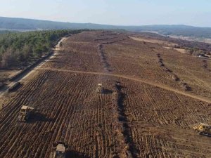 Çanakkale’de Küle Dönen 580 Hektar Alanda, 1 Milyon Fidan Toprakla Buluşturuluyor