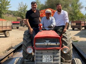 Domates Üretiminde Sındırgı Birinciliğe Oynuyor