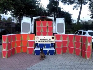 Mersin’de 630 Bin Adet Kaçak Makaron Ele Geçirildi