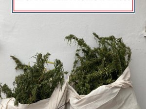Sakarya’da Uyuşturucu Operasyonu: 1 Gözaltı