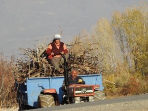Köylerde Kışlık Odun Hazırlığı