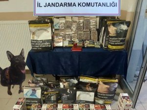 Çankırı’da Kaçak Sigara Operasyonu: Çok Sayıda Makaron Ele Geçirildi