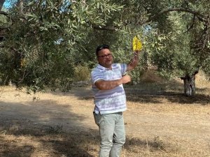 Efeler’de Zararlı Sinek Tuzakları Kontrol Edildi