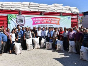 Mut’ta 279 Yetiştiriciye Yüzde 50 Hibeli Yem Desteği