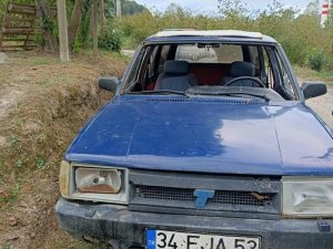 7 Yıl Hapis Cezası Vardı, Fındık Çalarken Jandarmaya Yakalandı