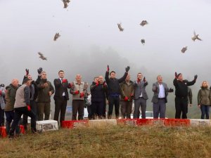 Yüzlerce Keklik Doğaya Salındı