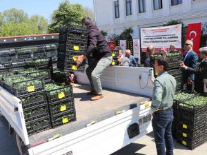 Yalovalı Çiftçilere 6 Milyon Tl’lik Kamu Desteği