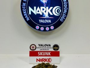 Yalova’da 2 Günde 11 Zehir Taciri Tutuklandı