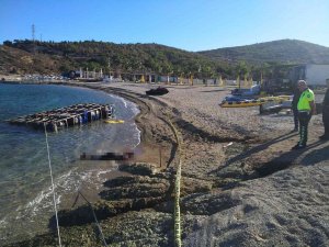 Foça’da Sahile Ceset Vurdu