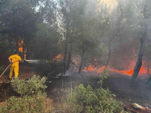 Bergama’daki Orman Yangını Kontrol Altında