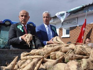 Bakan Kirişci, Şeker Fabrikası’nın 2022-2023 Pancar Alım Kampanyasında Müjdeyi Verdi