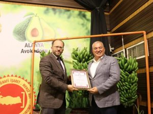 Coğrafi İşaretli Muzun Logosunu Alanya Halkı Seçecek