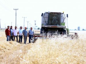 Çiftçilere Emeklilik Müjdesi