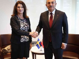 Çavuşoğlu, Tacikistan Ve İ̇sveç Dışişleri Bakanlarıyla Görüştü