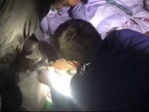 Ayvalık’ta “Denize Nefes” Operasyonunda Rekor Sayıda Deniz Patlıcanı Ele Geçirildi