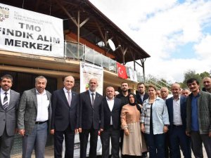 Yığılcalı Fındık Üreticilerine Büyük Kolaylık