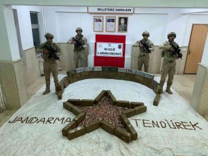 Tendürek Dağı’nda Pkk’ya Ait Çok Sayıda Mühimmat Ele Geçirildi
