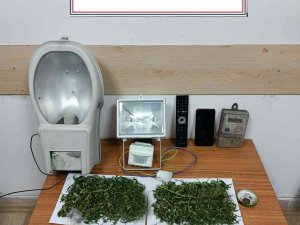 Hırsızlık Yapan Şüpheli Uyuşturucuyla Yakalandı