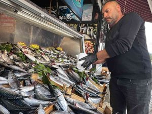Tezgahlarda Palamut Bolluğu