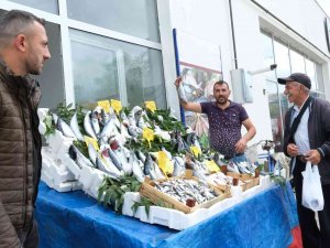 Erzincan’da Tezgahlarda Balık Yerini Aldı