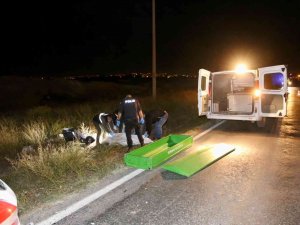 Karanlık Caddede Yolun Karşısına Geçmek İsterken Canından Oldu