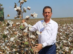Doğan: "Pamuk Üretimi Desteklenmeli"