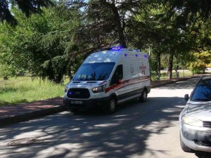 Kozalak Toplamak İçin Çıktığı Ağaçtan Düştü