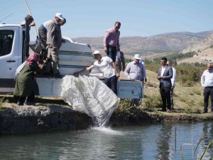 Çivril’de Tarla Balıkçılığı İçin İlk Adım Atıldı