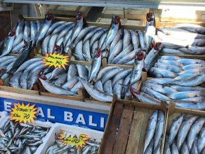 Akçakoca’da Balık Tezgahları Renklendi