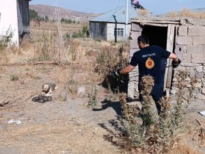 Kuyuda Mahsur Kalan Yavru Köpekleri İtfaiye Kurtardı