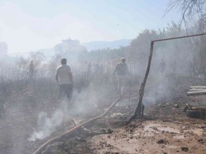Otluk Alanda Çıkan Yangın Portakal Ağaçları Ve Arı Kovanlarını Yaktı