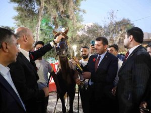 Bakan Soylu’ya Suruç’ta Sevgi Seli