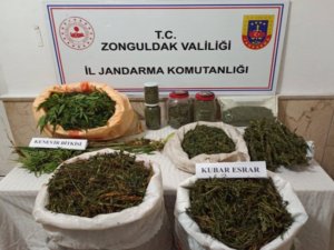 Zonguldak’ta Uyuşturucu Operasyonunda 1 Tutuklama