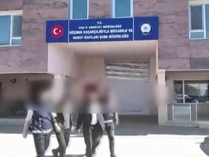 Van’da 5 Organizatör Tutuklandı