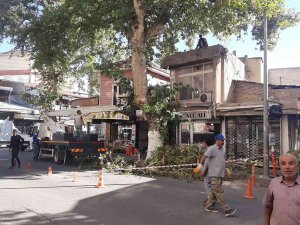 Ağaç İşyerinin Üzerine Düştü