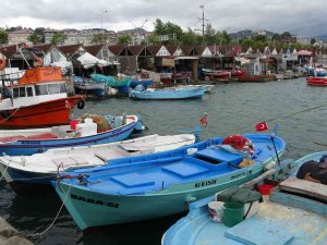 Kıyı Balıkçıların Umudu Batı Karadeniz Taraflarından Gelecek Olan Palamutta
