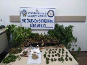 İ̇ş Yerinde Uyuşturucu Yetiştiren Şüpheli Tutuklandı