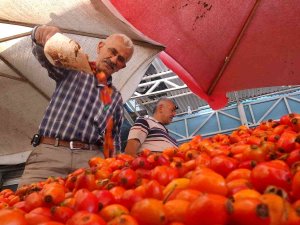 Dalından Sofraya Kuşburnunun Lezzet Yolculuğu