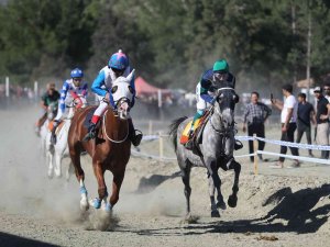 Pırlanta Pirinç Festivali’nde At Yarışları Nefes Kesti