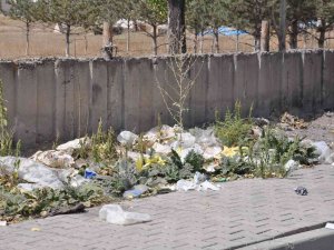 Kars’ta Gelişi Güzel Atılan Çöpler Çevreyi Kirletiyor