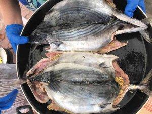 Sinop’ta İlk Cittaslow Sokak Şenliği Düzenlendi