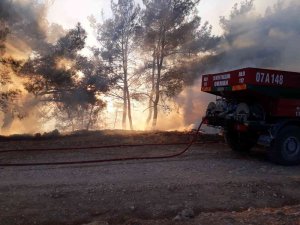 Antalya’da Orman Yangını Büyümeden Söndürüldü